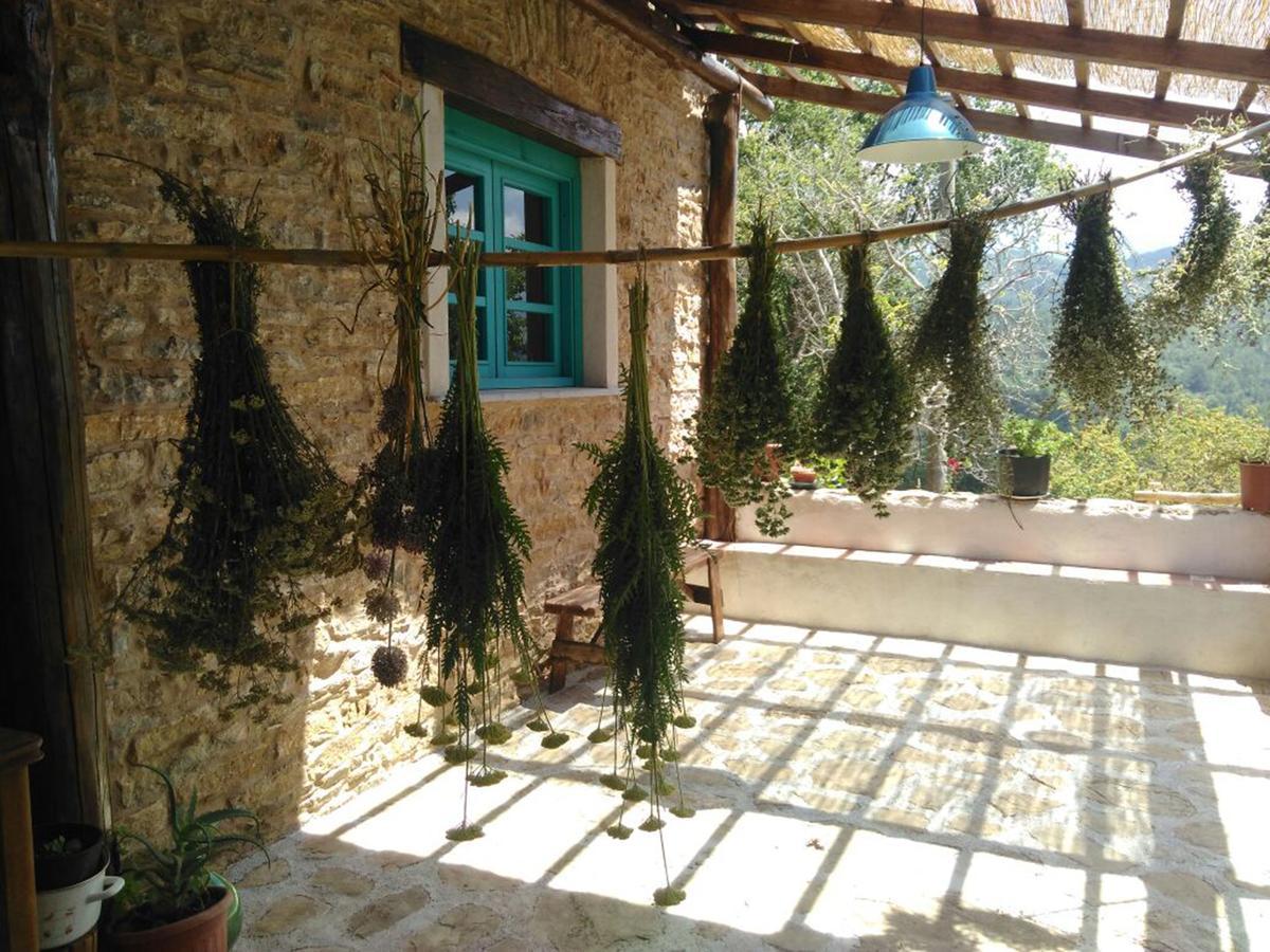Masseria Cata Catascia Acomodação com café da manhã Tortorella Exterior foto