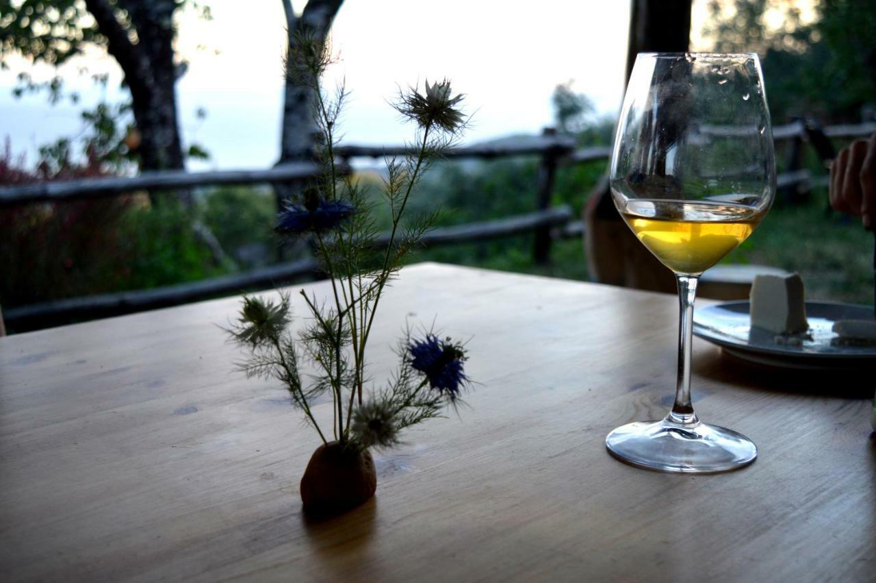 Masseria Cata Catascia Acomodação com café da manhã Tortorella Exterior foto